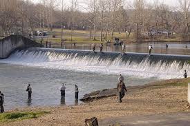 At the dam