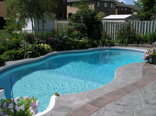 Getting rid of frogs in a swimming pool