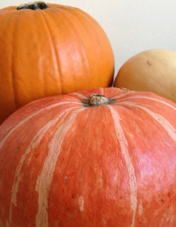 2 Easy Ways to Cook a Whole Pumpkin, Butternut, Kabocha or Other Winter Squash from Scratch