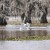Egret crossing the bayou. Egret crossing the bayou.