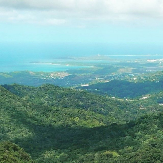 Puerto Rican beauty at its finest. Taken from the top of the old tower in the Yunque national Rain forest. 