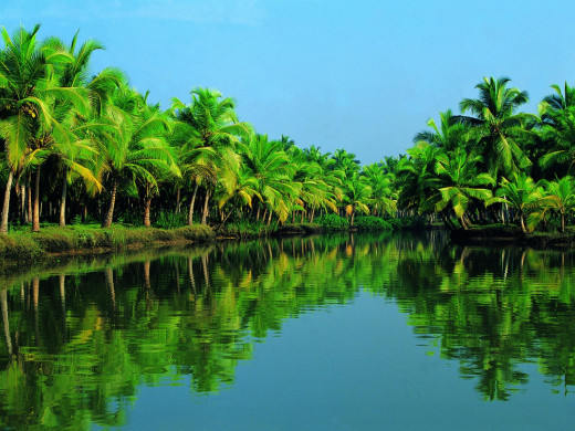 Kerala Lake