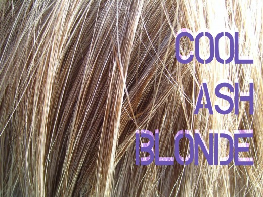 Wella Medium Ash Blonde Before And After - Wella Medium Ash Brown Before And After