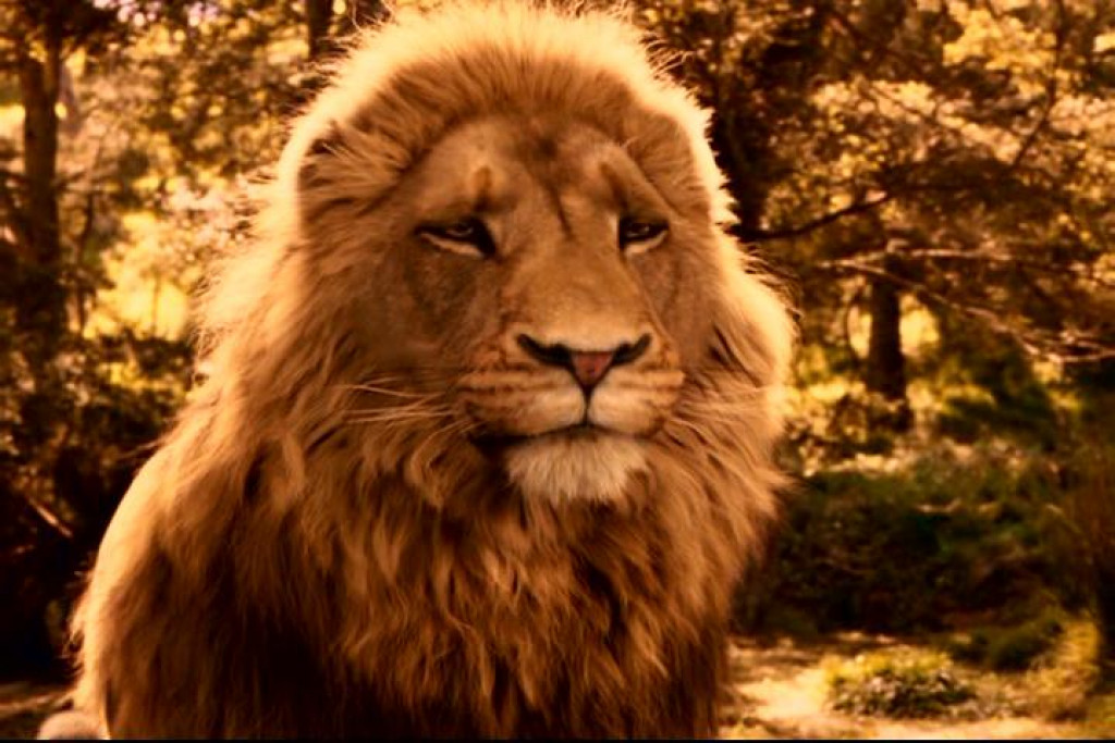 The Themes Of Love And Sacrifice In C S Lewis Narnia The Lion