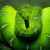 Green Tree Viper.  Often bites women working in tea plantations