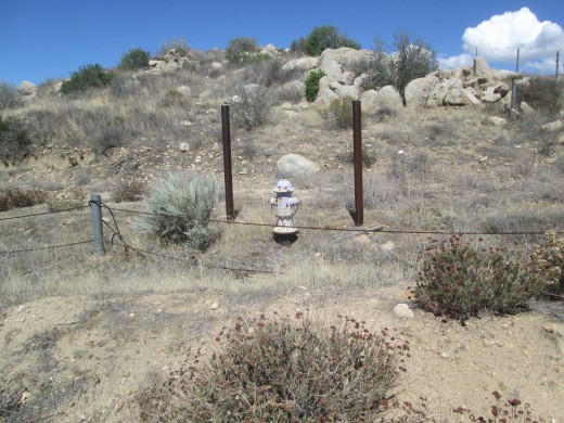 A fire hydrant near a wire fence.