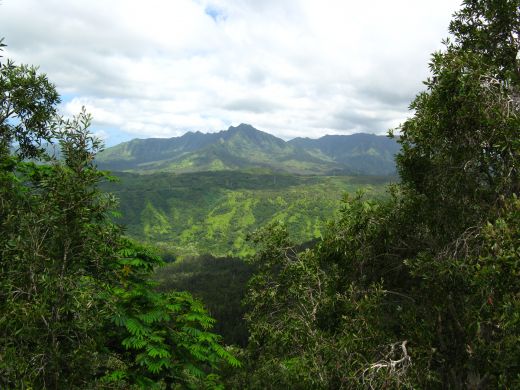 Beautiful mountain views in Kauai.