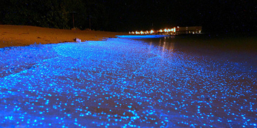 Glowing beach at Mudhdhoo Island, Maldives