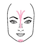 Bridge of nose & Chin