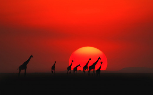 Kenya Sunset 