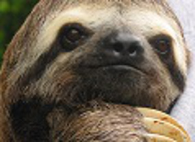 HubPages profile picture for @parallels