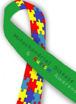 Mitochondrial Disease Awareness Week 2015 Part 2; It Can't Just Be Autism?