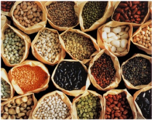 Beans are incredibly healthy!