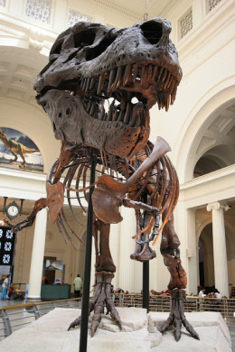 https://usercontent1.hubstatic.com/12661356_f260.jpg