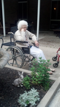Mom in the Nursing Home Garden.  It really was a nice.