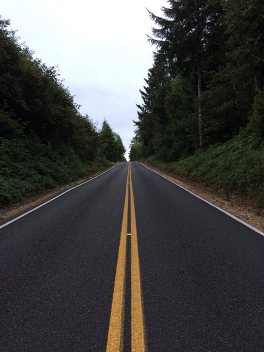Engulfed by the Evergreens, wandering along the highways of western Washington