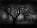 Ghosts, Category II, Poltergeists, Part-2