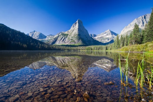 The Glacier National Park is a typical habitat for the Rocky Tailed Mountain Frog.