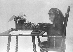 The monkey evolved to type the manuscripts. It didn't just randomly happen. 