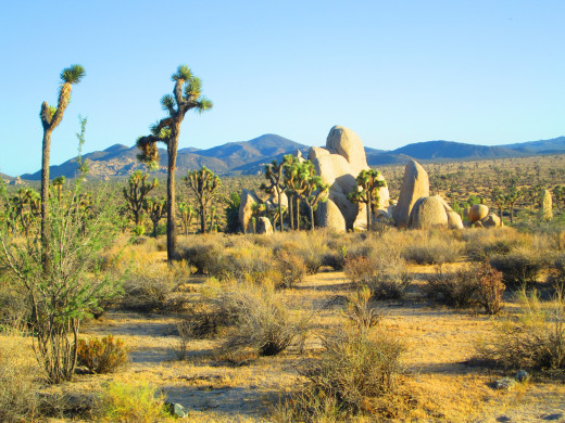 The boulders often have oval shapes and stand upright.
