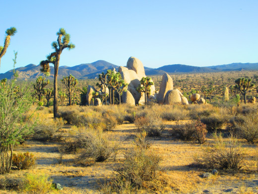 The boulders are oval shaped the focal point of this capture.