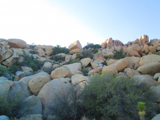 Boulders on the hillside with a Joshua tree in the mix.