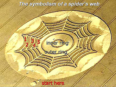 Spider's Web, what does it mean?