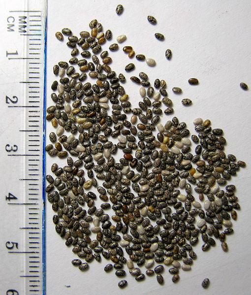 Chia seeds showing how small they are.