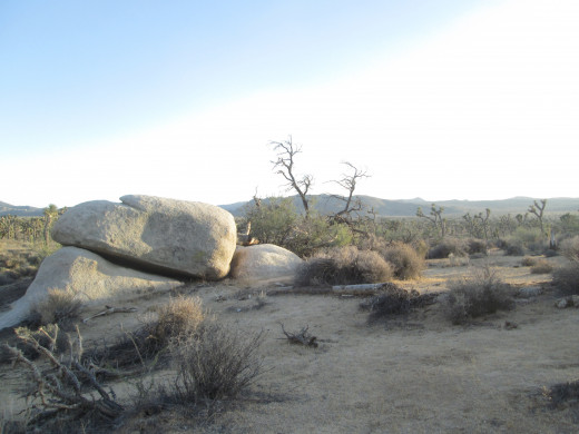 Large boulders surrounded by dead and dry brush.