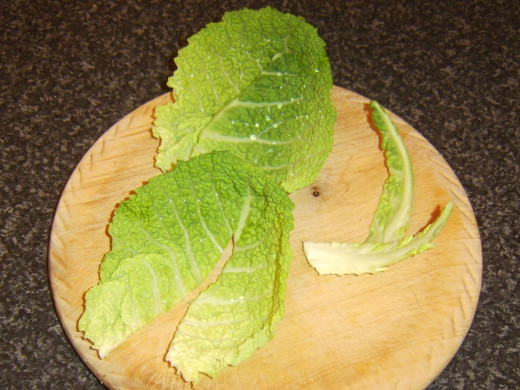 Tough core is cut from savoy cabbage leaves