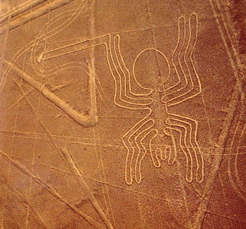 Nazca Lines-Spider Glyph