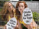 PETA's Tactics Take Away From Real Issues