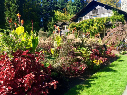Several Stanley Park trails lead you to this beautiful garden, hidden somewhere central in the park