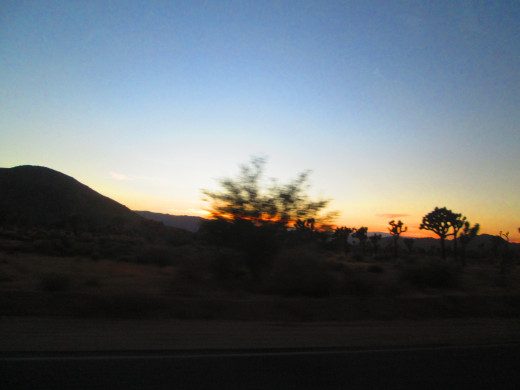 Sunset and the view of more Joshua trees.
