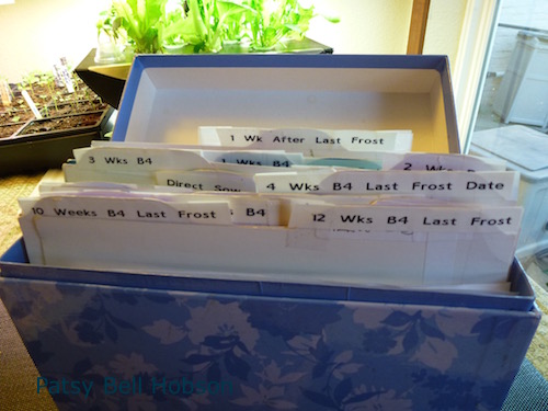 Recycle an old file box, lunch box, whatever you have. Be creative.