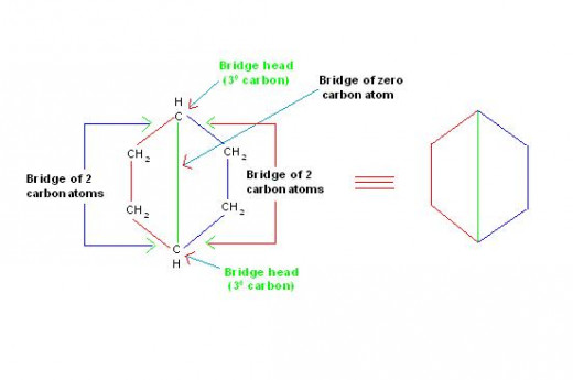 The various bridges are shown by different colors. Blue colored & red colored bridges contain two carbon atoms, while green colored bridge contains no carbon. Two tertiary carbon atoms are key points to understand bridges and numbering.