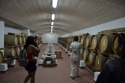 Santo Wines