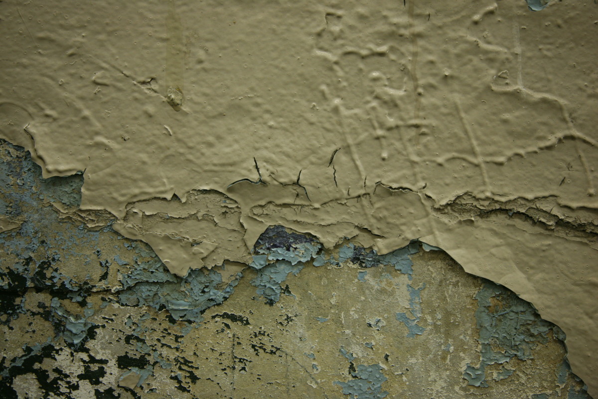 How To Fix Peeling Paint On Your Walls Or Ceiling Dengarden
