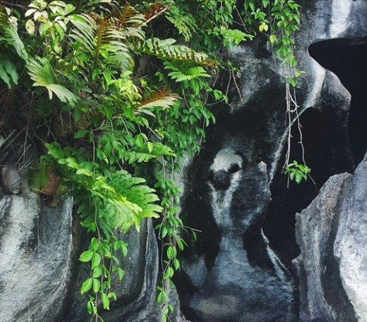 A lagoon