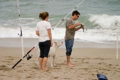 How to Fish for Whiting at the Beach in Florida