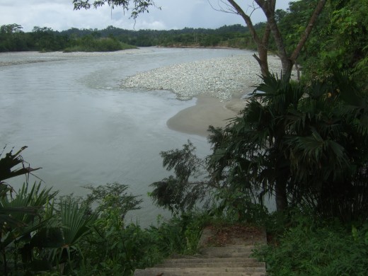 Life along the flowing river