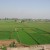 Feeding of an economy is not possible without agriculture Feeding of an economy is not possible without agriculture