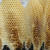 Honeycomb. Honeycomb.