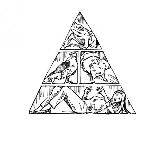 Vampire Food Pyramid 