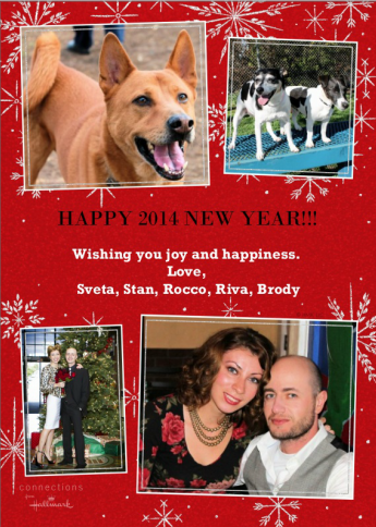 2014 greeting card with our doggies!