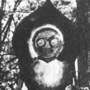 Tristan Shaw profile image
