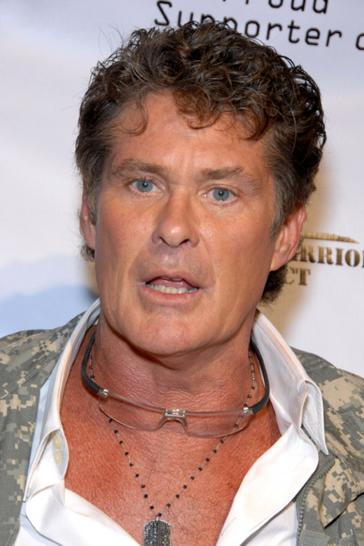 Can't believe it's taken them this long to cast the Hoff as Fin Shepard's father...
