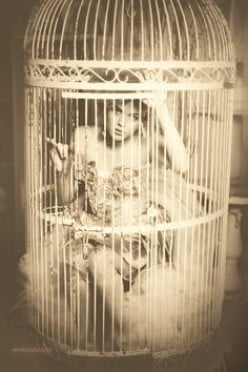 A Bird in a Cage: A Slow Fade