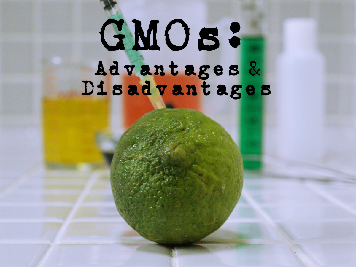 GMOs: Pros and Cons, Backed by Evidence
