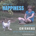 Backyard Chickens From 